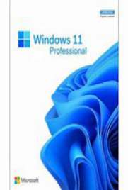 WINDOWS 11 PRO EN-US X64 21H2   