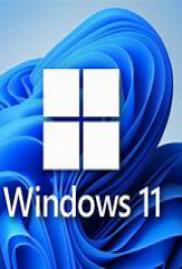 windows 2.11 swe