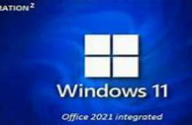 Windows 11 X64 21H2 Pro incl Office 2021 fr-FR APRIL 2022 {Gen2}